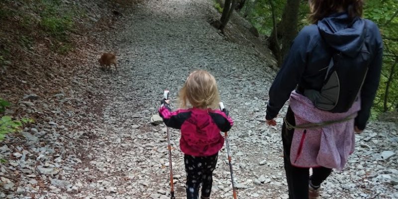 Trekking1