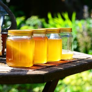 honey-g0a8543c4f_1920